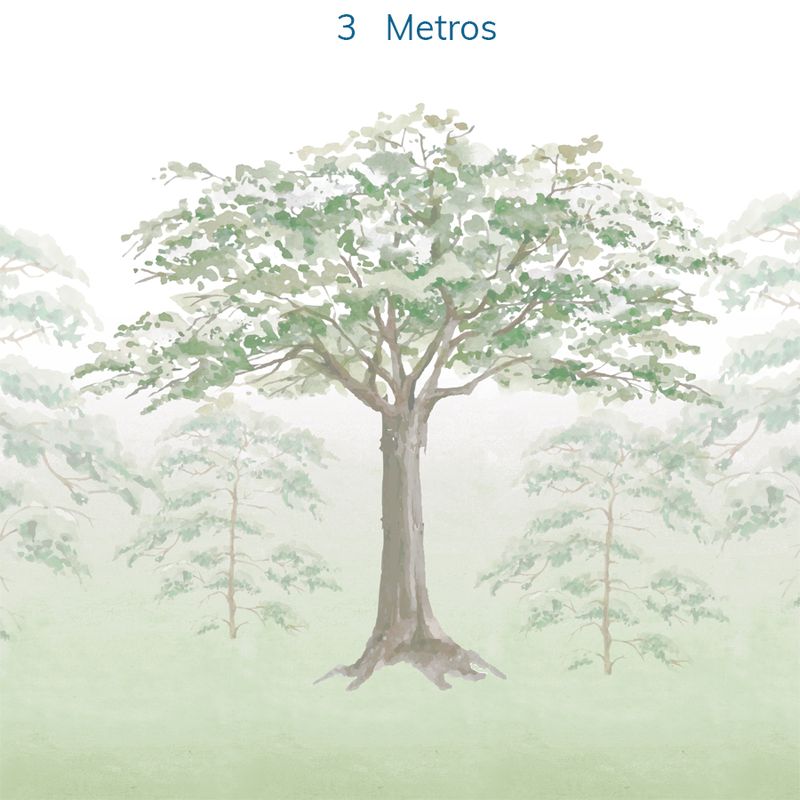 Papel-de-Parede-Infantil-Floresta-Aquarelada---Mural-4
