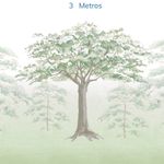 Papel-de-Parede-Infantil-Floresta-Aquarelada---Mural-4