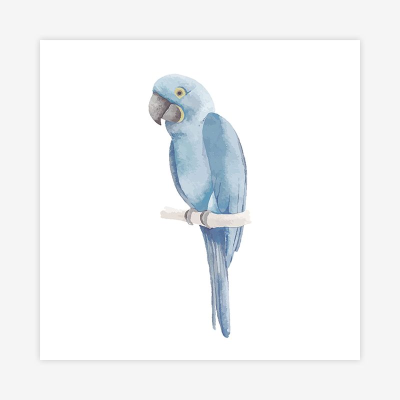 Quadro-Infantil-Arara-Azul-Aquarela---Quadrado-1