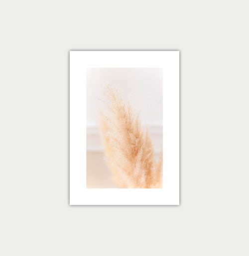 Quadro Capim dos Pampas - Vertical