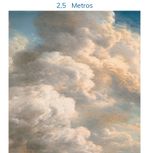 217192_3.jpg